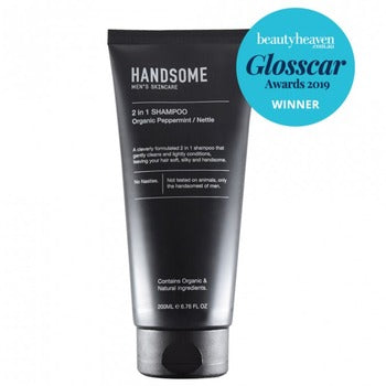 Handsome 2 In 1 Shampoo 200mL