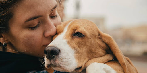 Veterinary & Animal Compounding