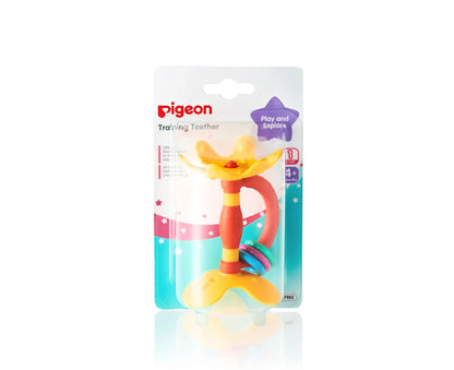 Pigeon Training Teether Step 1